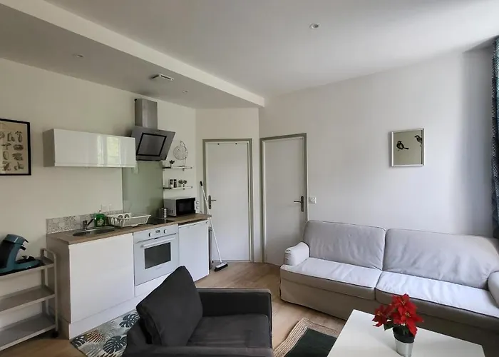 Apartment 2 Pieces Avec Terrasse Proche Centre - Parking Gratuit A Proximite Lourdes