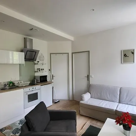 Apartment 2 Pieces Avec Terrasse Proche Centre - Parking Gratuit A Proximite Lourdes
