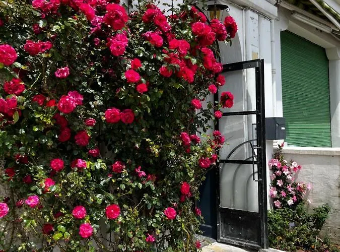 2 Pièces Avec Terrasse Proche Centre - Parking Gratuit à Proximité
