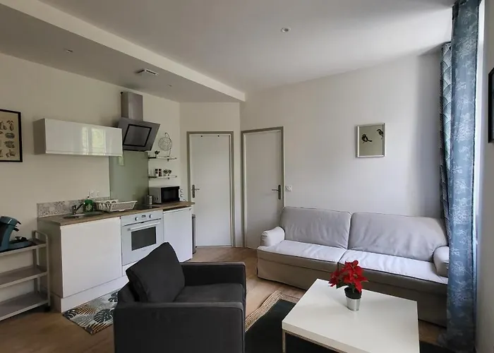 2 Pieces Avec Terrasse Proche Centre - Parking Gratuit A Proximite Лурд